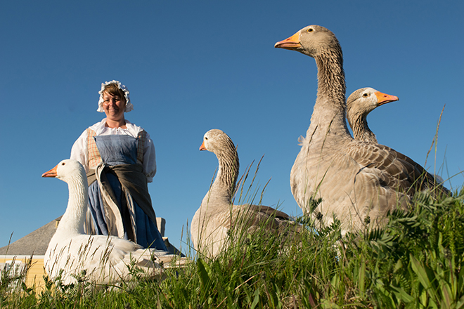 Fortress of Louisbourg Goose Mistress, Ms. Geraldine Touesnard Joyce